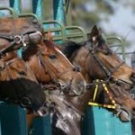 méthode sur les courses hippiques pour gagner